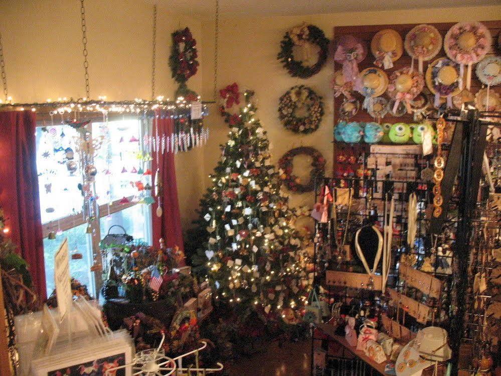 Desert Sol Bed & Breakfast Tucson Extérieur photo